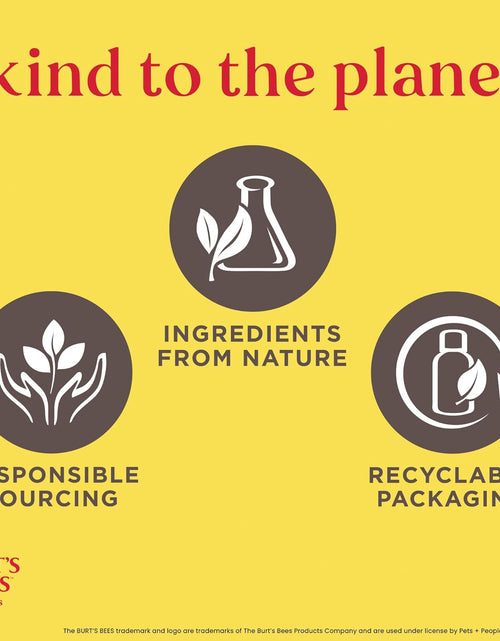 Load image into Gallery viewer, Burt'S Bees for Dogs Deodorizing Dog Shampoo and Dog Deodorizing Spray, Apple &amp; Rosemary Dog Shampoo, Natural Dog Shampoo, Puppy Shampoo, Dog Bathing Supplies, Dog Wash, Pet Shampoo
