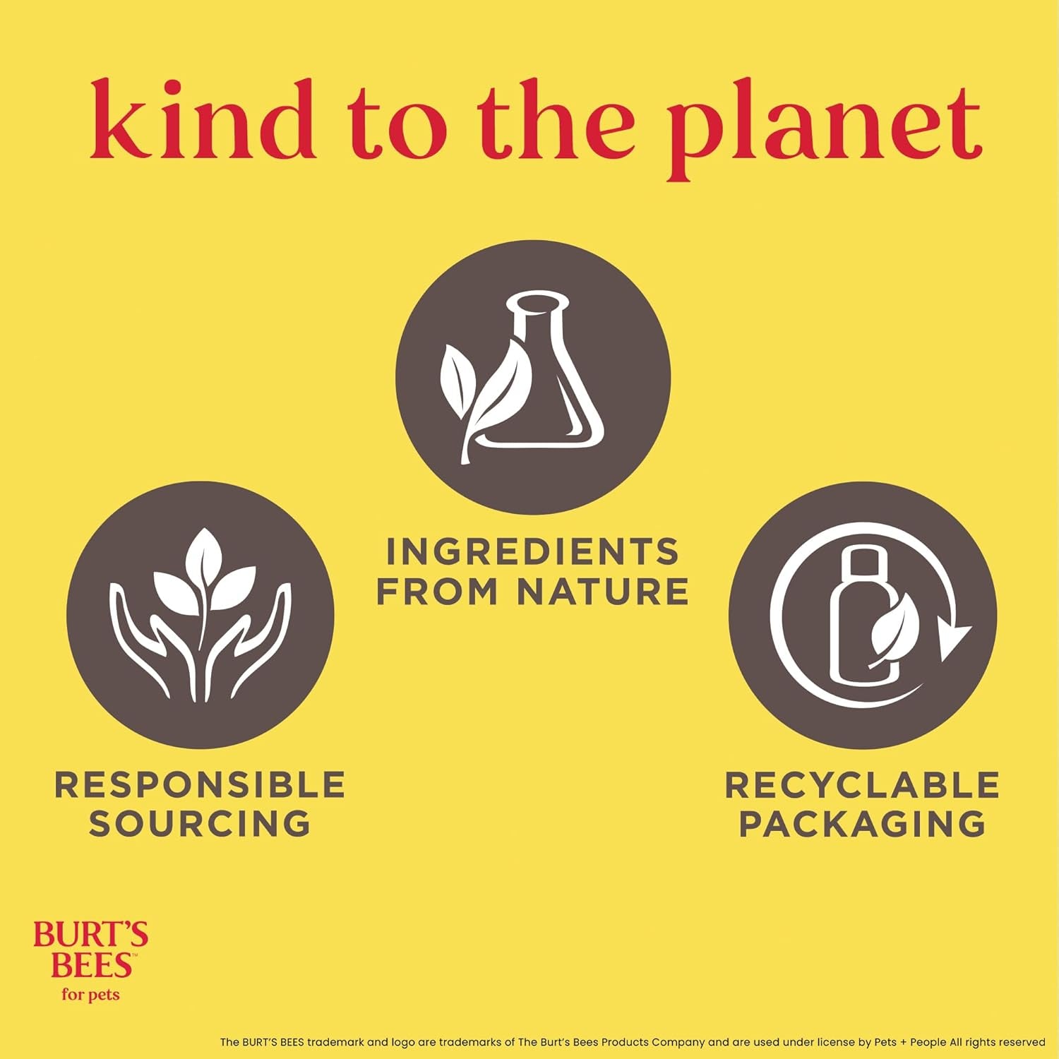 Burt'S Bees for Dogs Deodorizing Dog Shampoo and Dog Deodorizing Spray, Apple & Rosemary Dog Shampoo, Natural Dog Shampoo, Puppy Shampoo, Dog Bathing Supplies, Dog Wash, Pet Shampoo