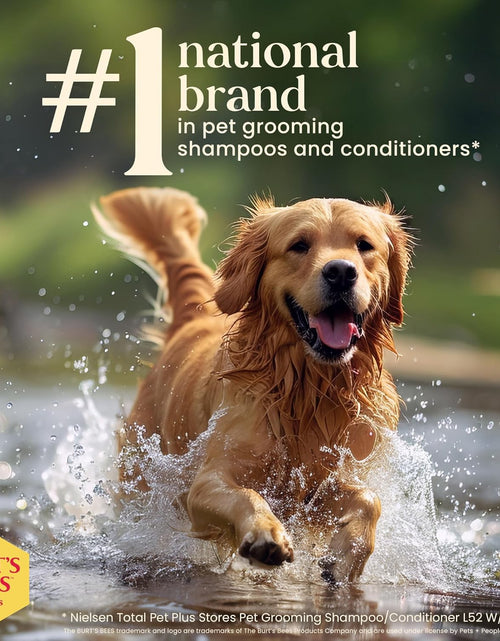 Load image into Gallery viewer, Burt'S Bees for Dogs Deodorizing Dog Shampoo and Dog Deodorizing Spray, Apple &amp; Rosemary Dog Shampoo, Natural Dog Shampoo, Puppy Shampoo, Dog Bathing Supplies, Dog Wash, Pet Shampoo
