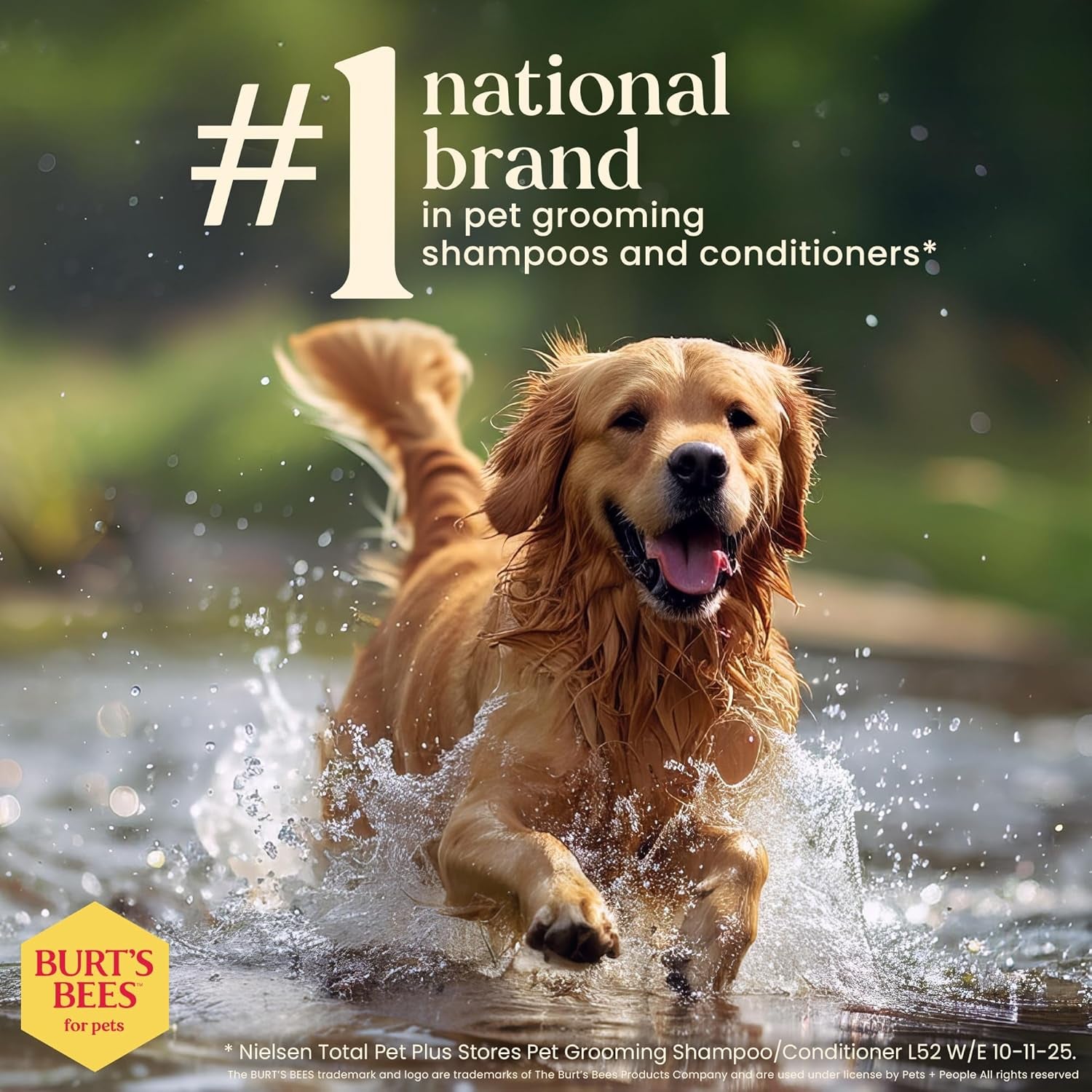 Burt'S Bees for Dogs Deodorizing Dog Shampoo and Dog Deodorizing Spray, Apple & Rosemary Dog Shampoo, Natural Dog Shampoo, Puppy Shampoo, Dog Bathing Supplies, Dog Wash, Pet Shampoo