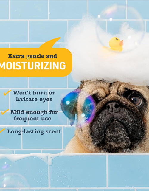 Load image into Gallery viewer, Solutions Puppy Love Extra Gentle Tearless Shampoo,17 Oz – Safe for Puppies over 6 Weeks –Puppy Shampoo with Fresh Scent,Long-Lasting Clean – Cleanses without Drying Delicate Skin
