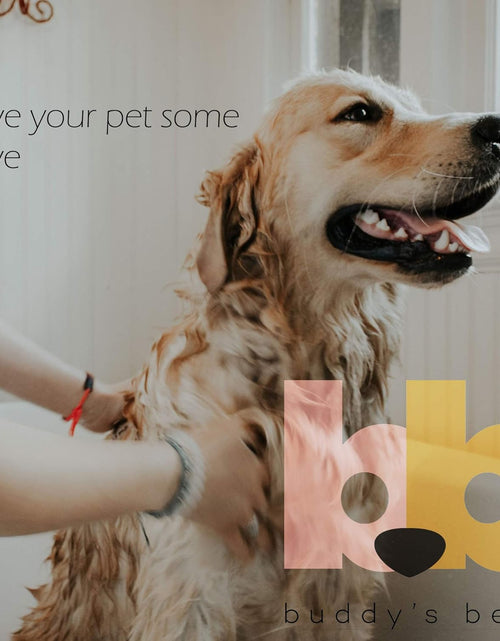 Load image into Gallery viewer, , Dog Shampoo and Conditioner in One - Hypoallergenic, Oatmeal Shampoo for Dogs with Sensitive Skin - Moisturizing Dog Wash
