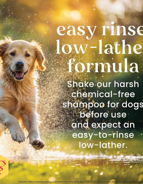 Load image into Gallery viewer, Burt'S Bees for Dogs Deodorizing Dog Shampoo and Dog Deodorizing Spray, Apple &amp; Rosemary Dog Shampoo, Natural Dog Shampoo, Puppy Shampoo, Dog Bathing Supplies, Dog Wash, Pet Shampoo
