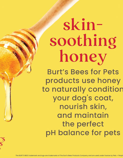 Load image into Gallery viewer, Burt'S Bees for Dogs Deodorizing Dog Shampoo and Dog Deodorizing Spray, Apple &amp; Rosemary Dog Shampoo, Natural Dog Shampoo, Puppy Shampoo, Dog Bathing Supplies, Dog Wash, Pet Shampoo

