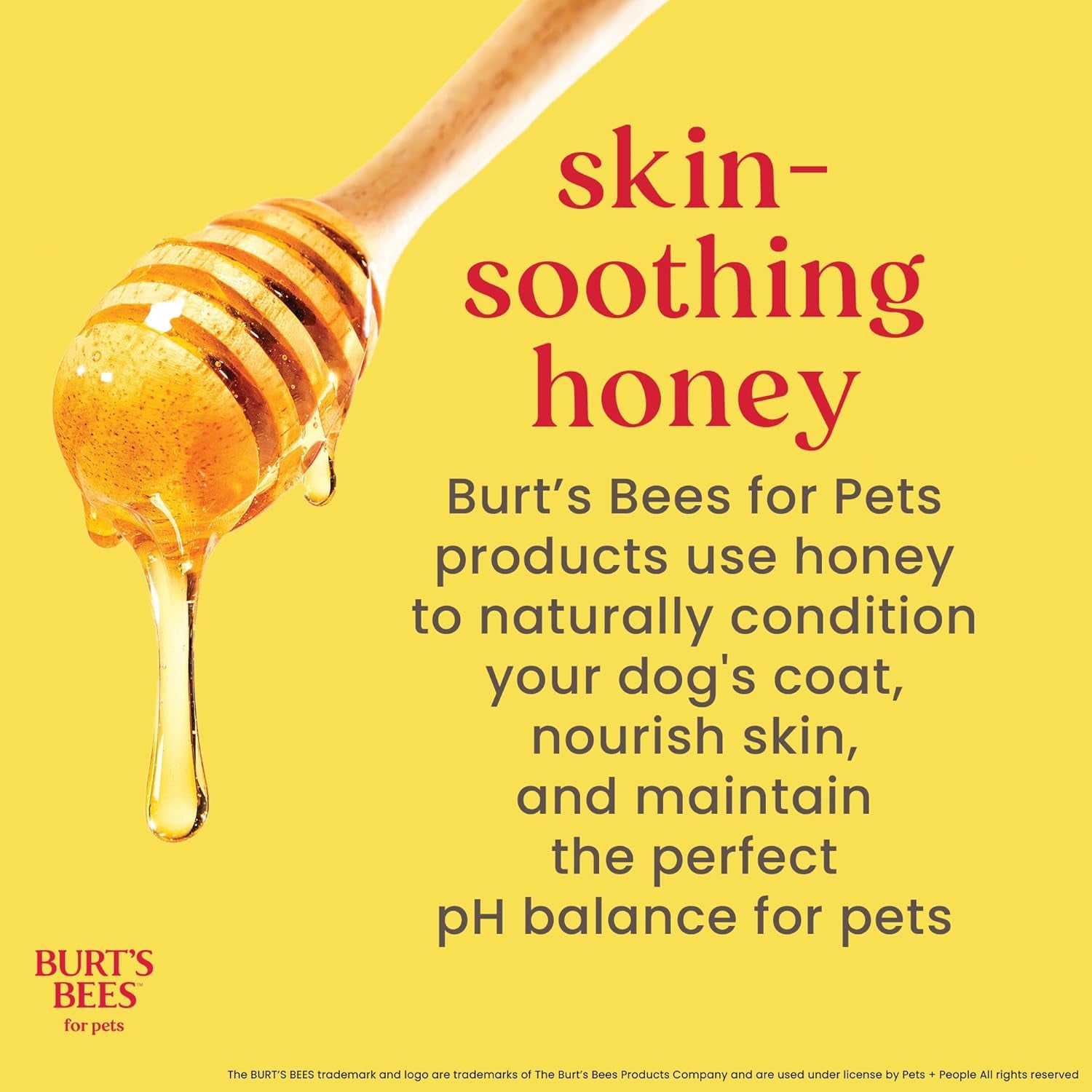 Burt'S Bees for Dogs Deodorizing Dog Shampoo and Dog Deodorizing Spray, Apple & Rosemary Dog Shampoo, Natural Dog Shampoo, Puppy Shampoo, Dog Bathing Supplies, Dog Wash, Pet Shampoo
